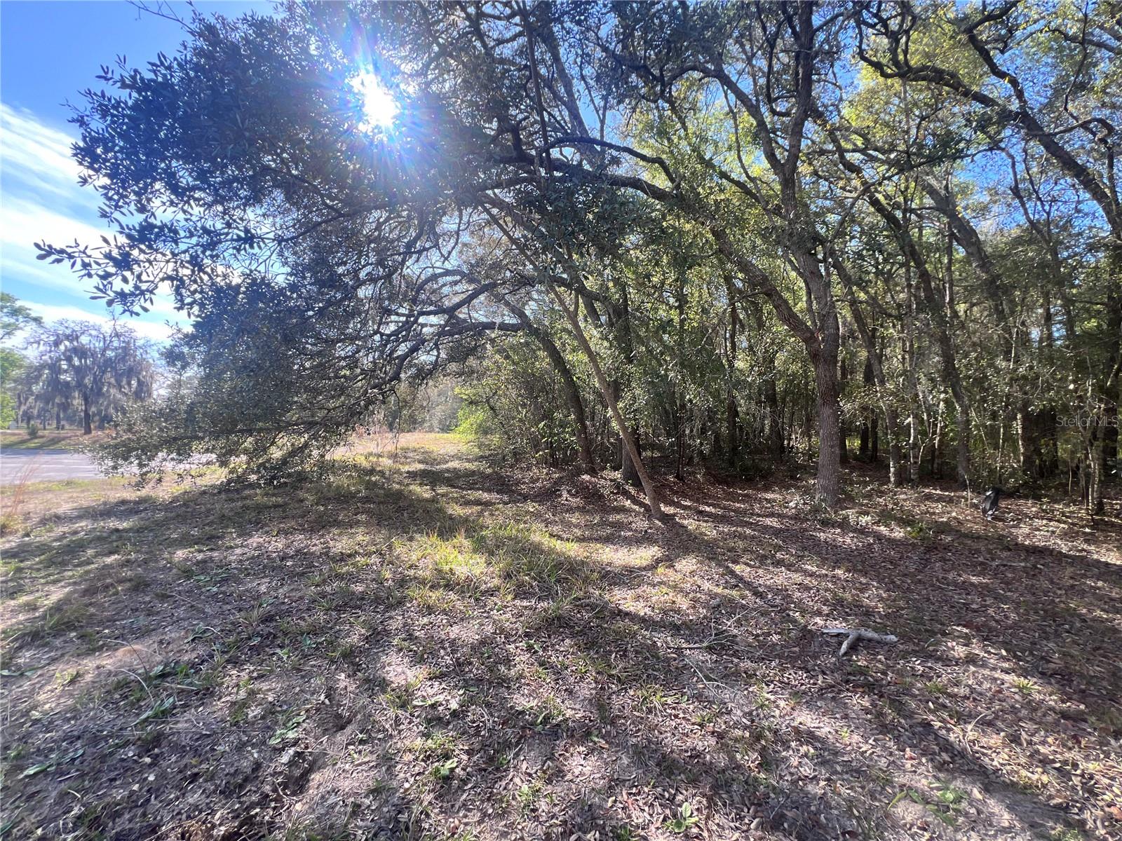 3975 W GROVER CLEVELAND BOULEVARD, Homosassa, FL 34446