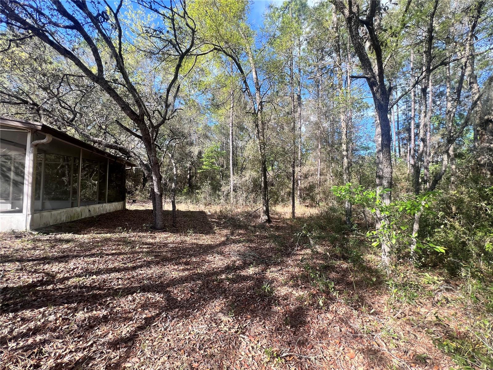 3975 W GROVER CLEVELAND BOULEVARD, Homosassa, FL 34446