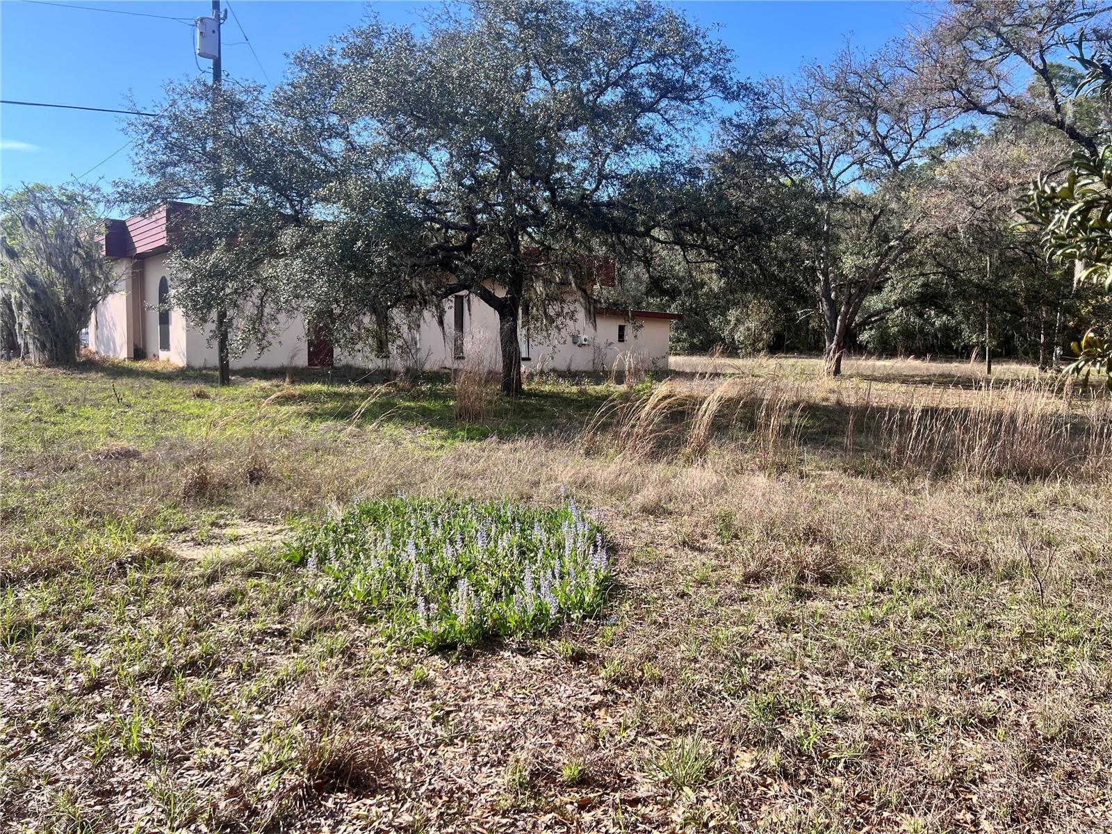 3975 W GROVER CLEVELAND BOULEVARD, Homosassa, FL 34446