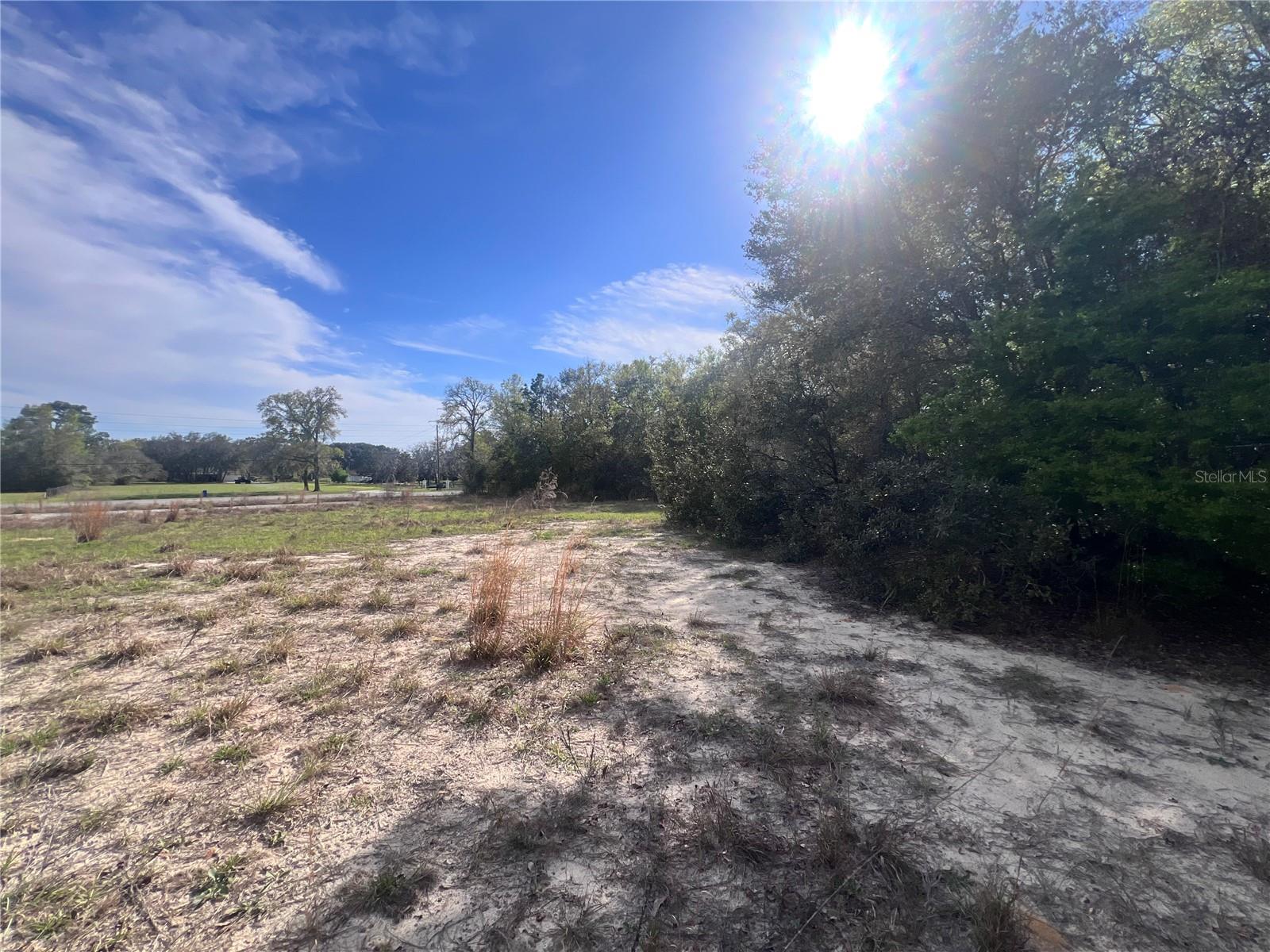 3975 W GROVER CLEVELAND BOULEVARD, Homosassa, FL 34446