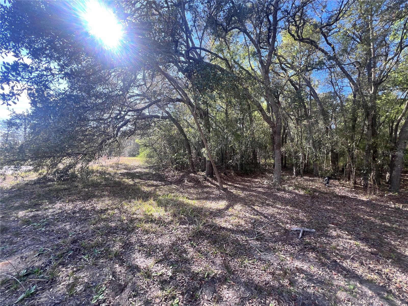 3975 W GROVER CLEVELAND BOULEVARD, Homosassa, FL 34446