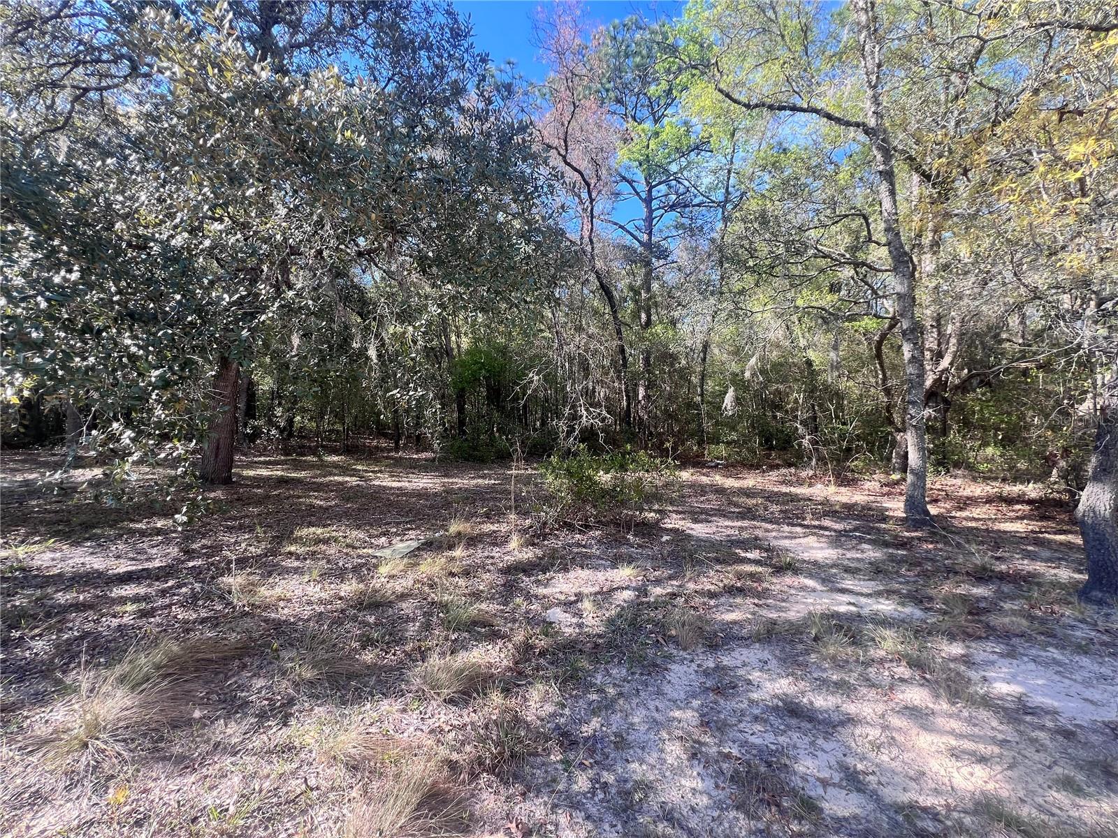 3975 W GROVER CLEVELAND BOULEVARD, Homosassa, FL 34446