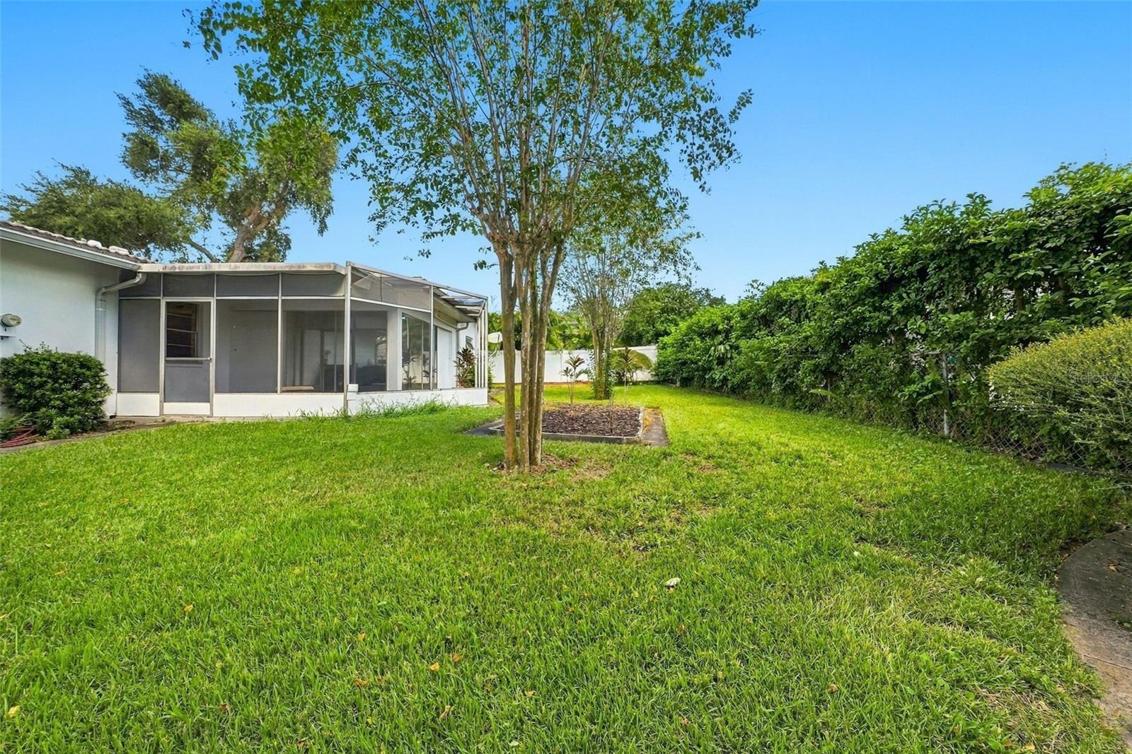 Backyard