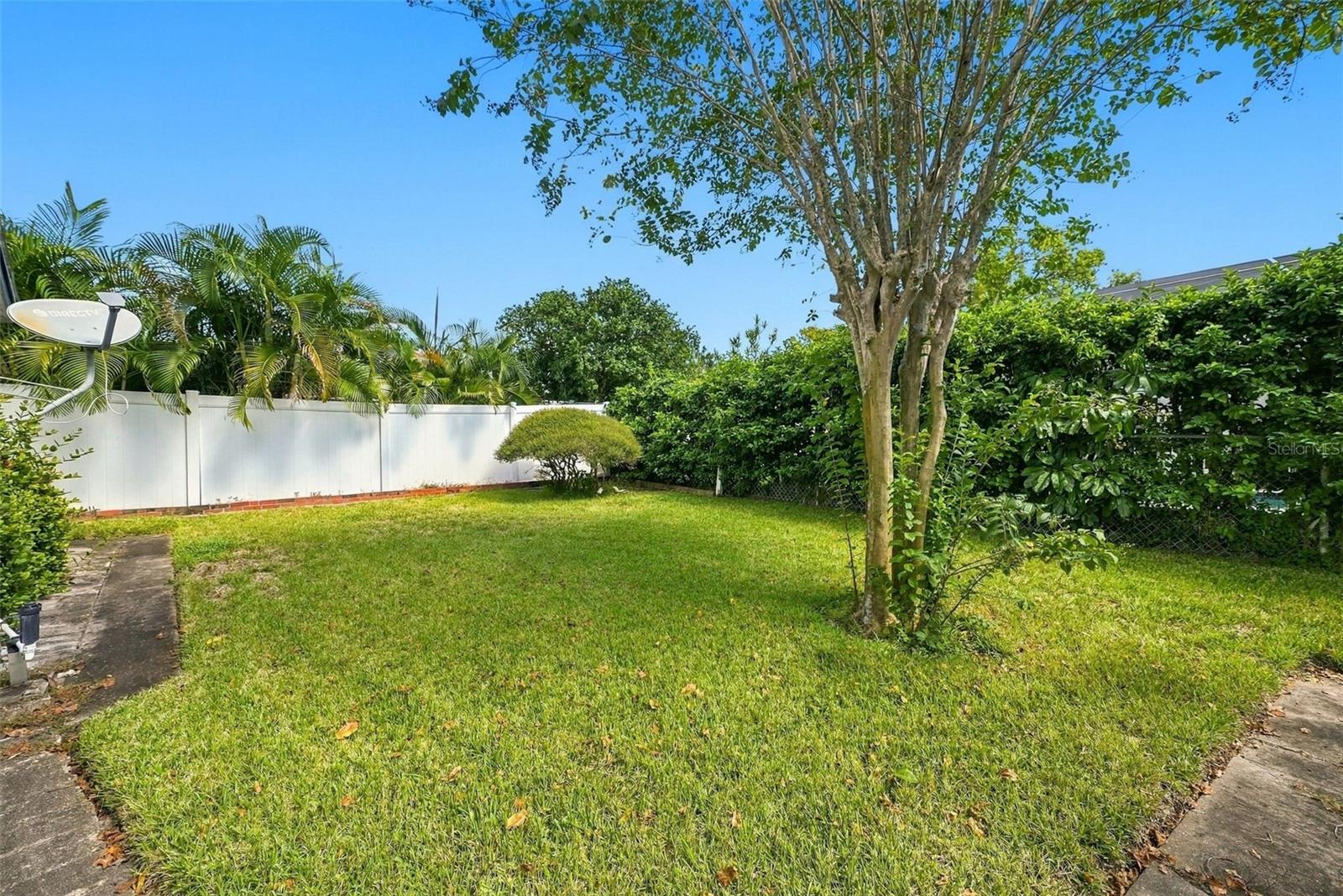 Backyard
