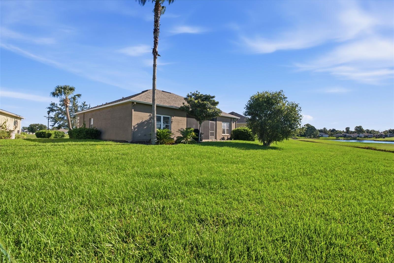29336 COHARIE LOOP, San Antonio, FL 33576