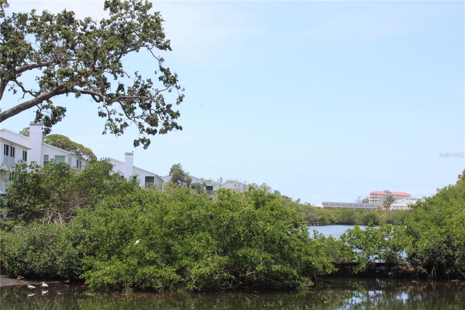 9722 INDIAN KEY TRAIL, #116, Seminole, FL 33776