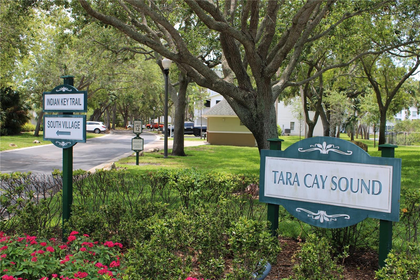 9722 INDIAN KEY TRAIL, #116, Seminole, FL 33776