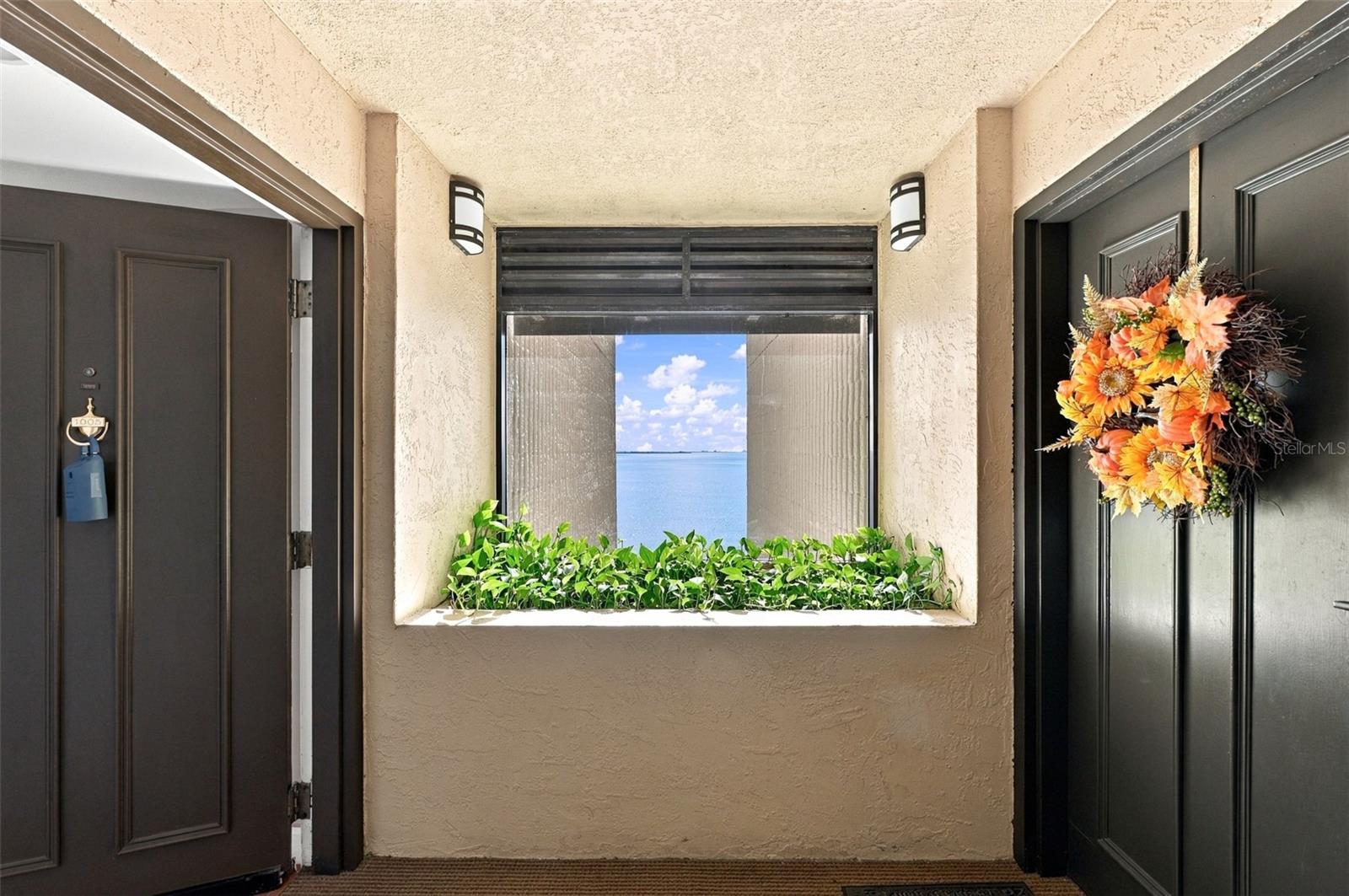2413 BAYSHORE BOULEVARD, #1005, Tampa, FL 33629 2413 BAYSHORE BOULEVARD, #1005, Tampa, FL 33629