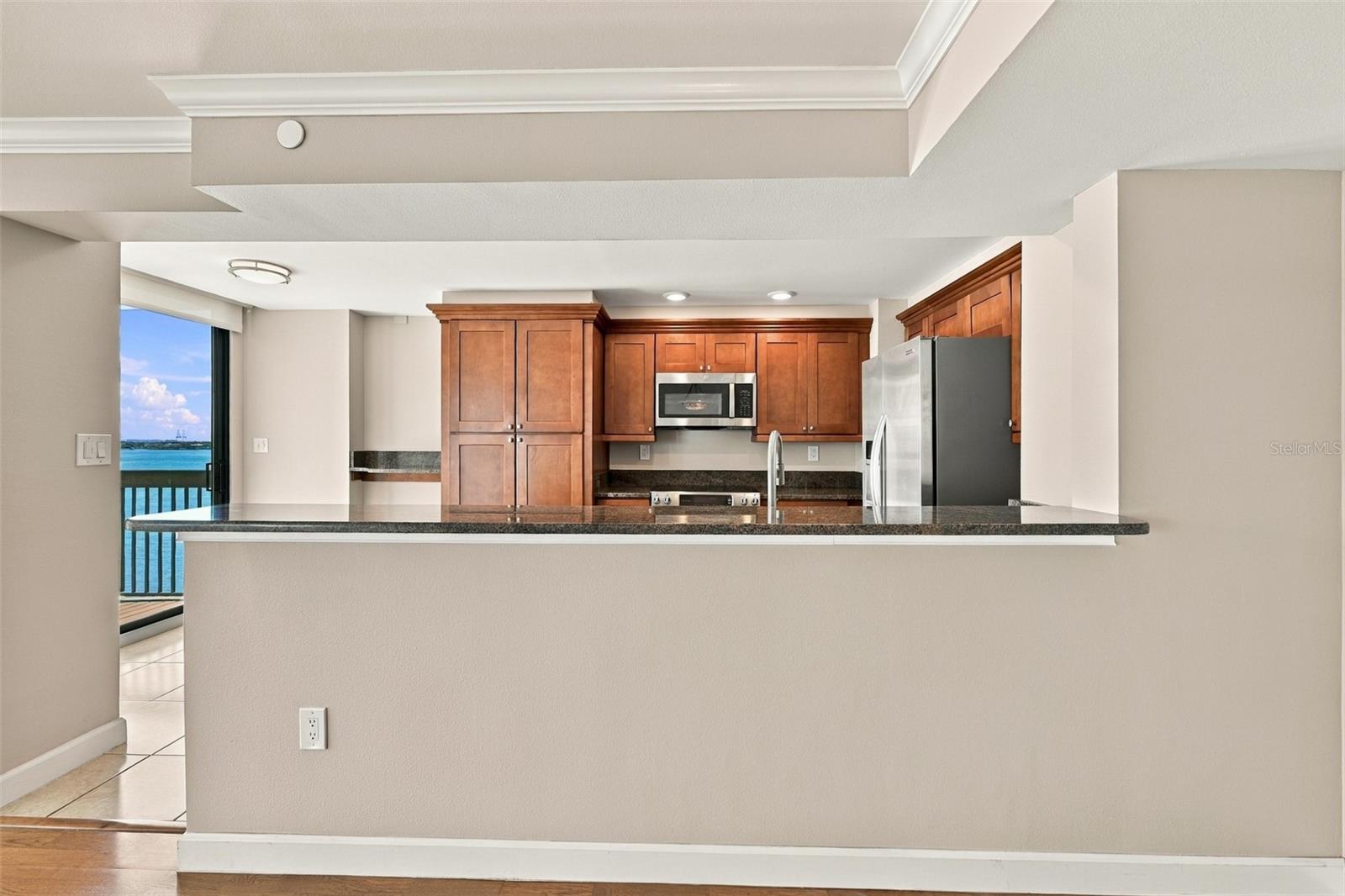 2413 BAYSHORE BOULEVARD, #1005, Tampa, FL 33629