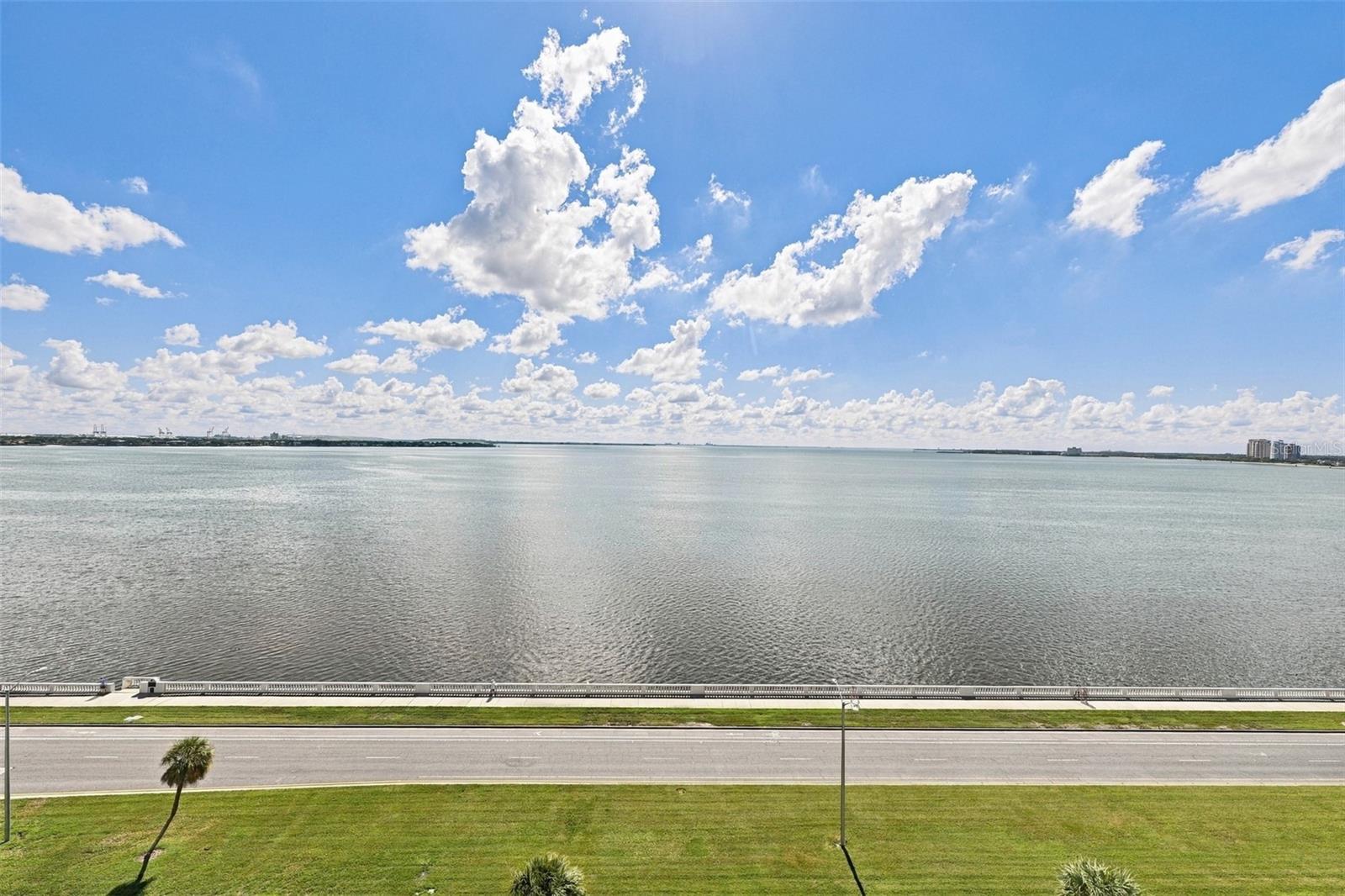 2413 BAYSHORE BOULEVARD, #1005, Tampa, FL 33629