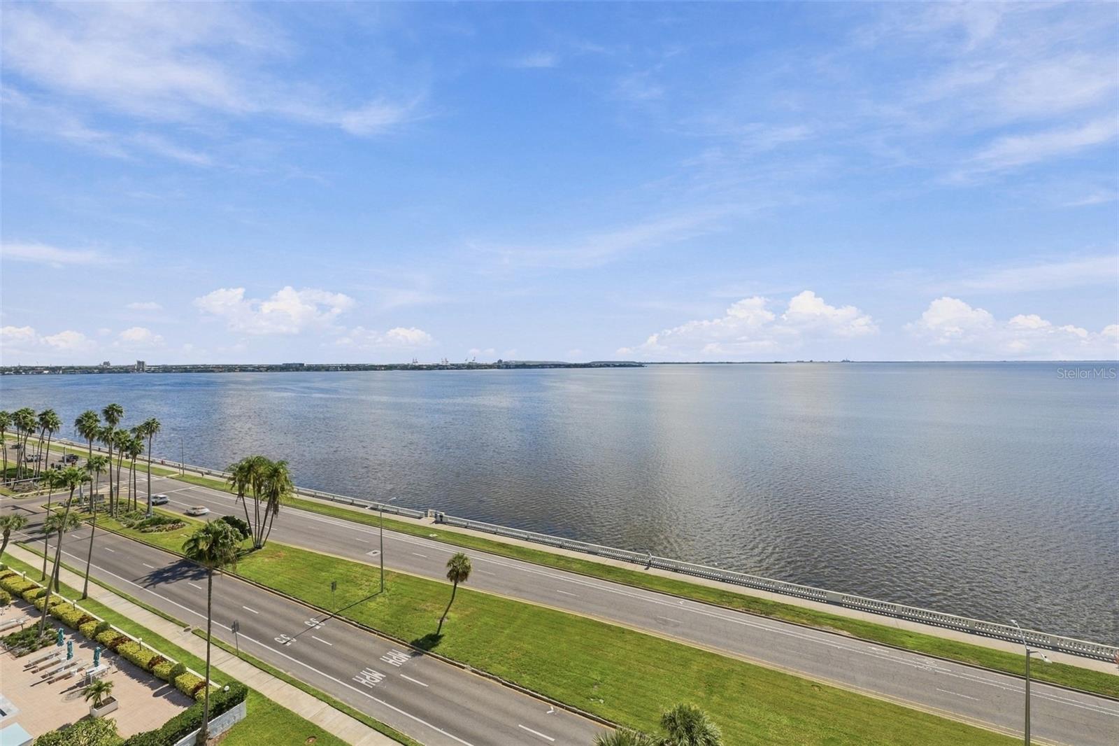 2413 BAYSHORE BOULEVARD, #1005, Tampa, FL 33629