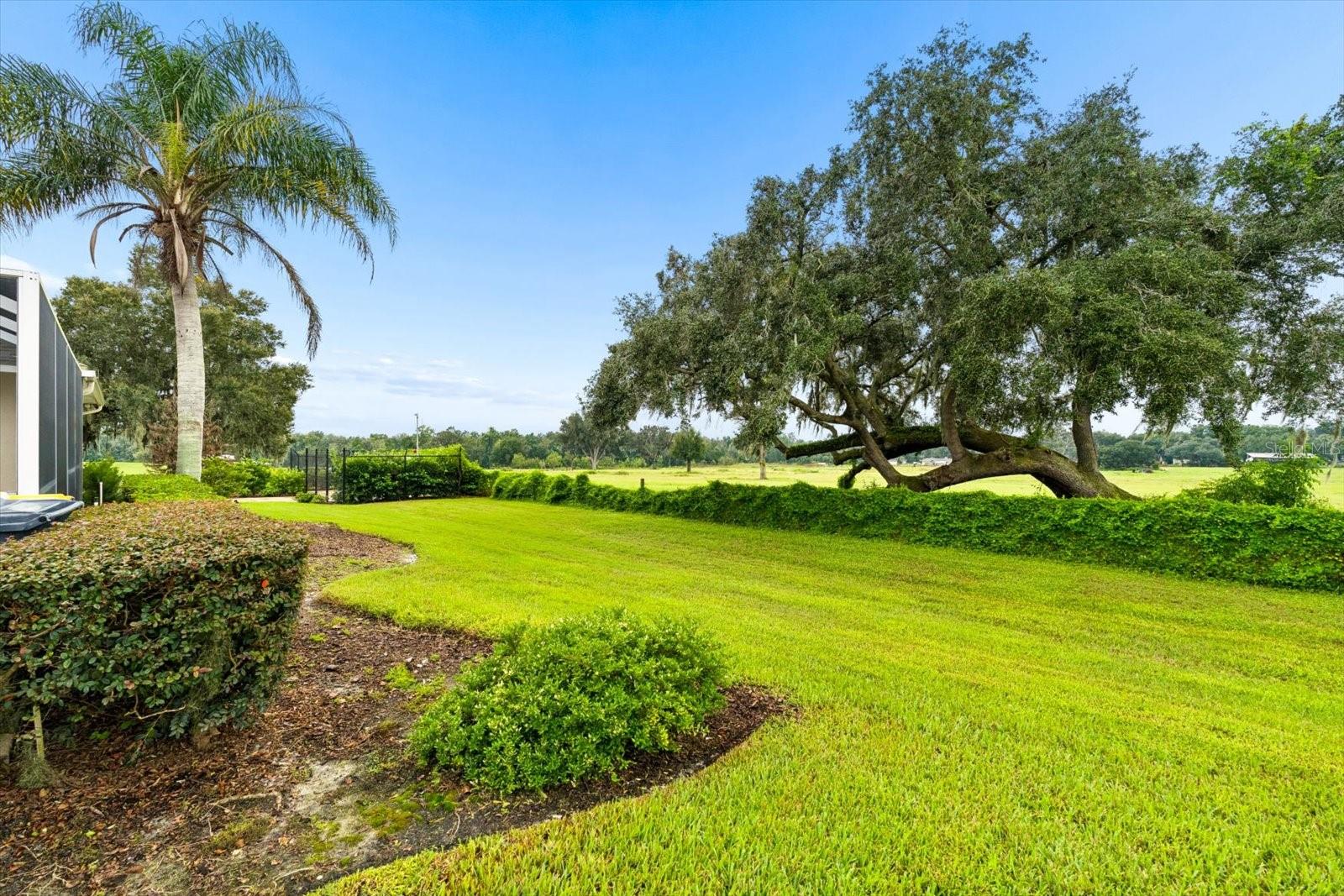6864 BENDELOW DRIVE, Lakeland, FL 33810