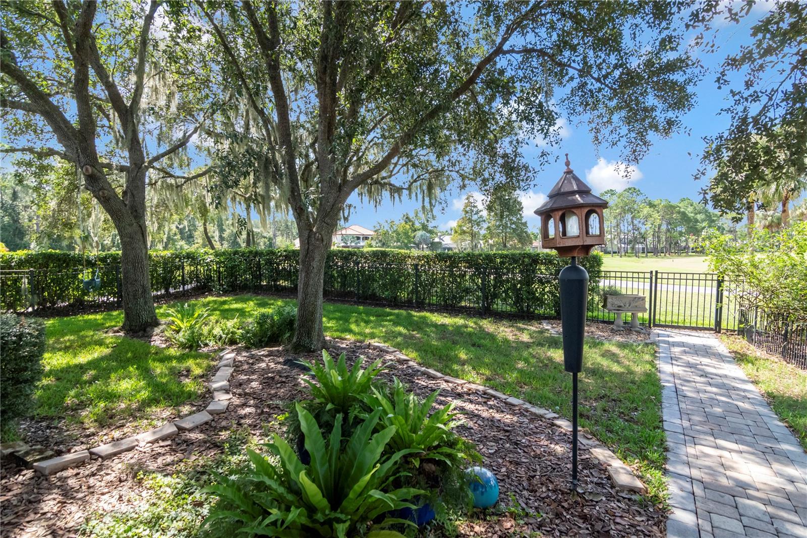 Fenced Yard and beautiful views
