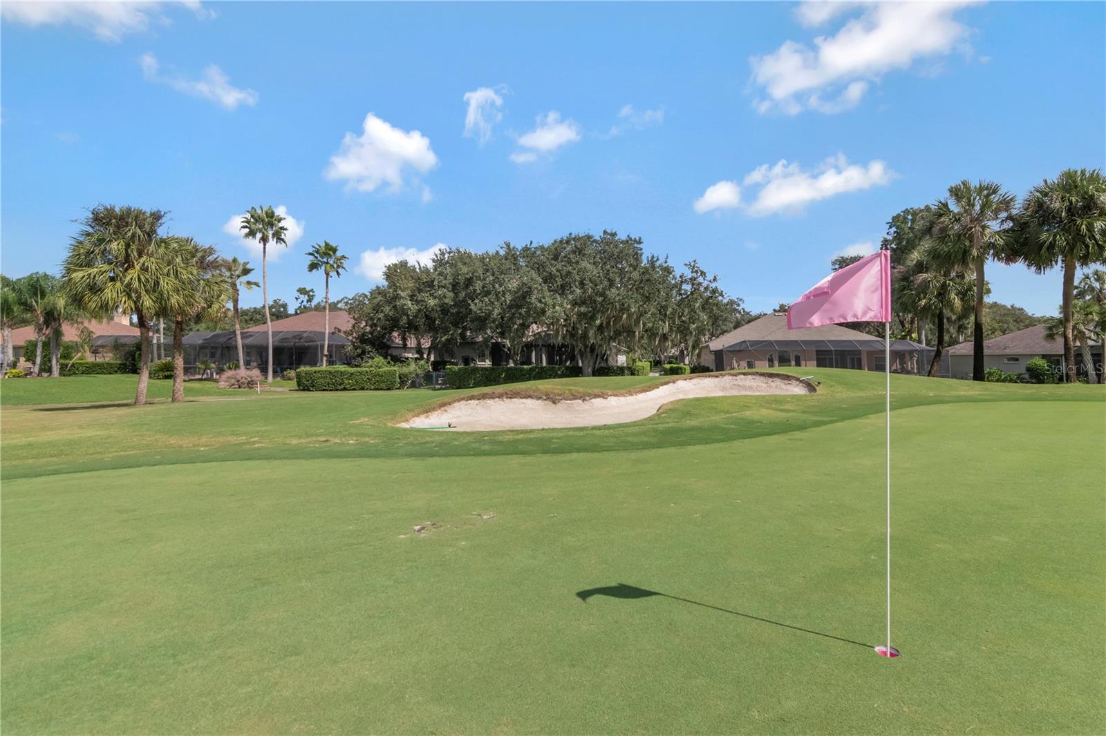 Pristine Gold Course in Your Backyard - 13th Green