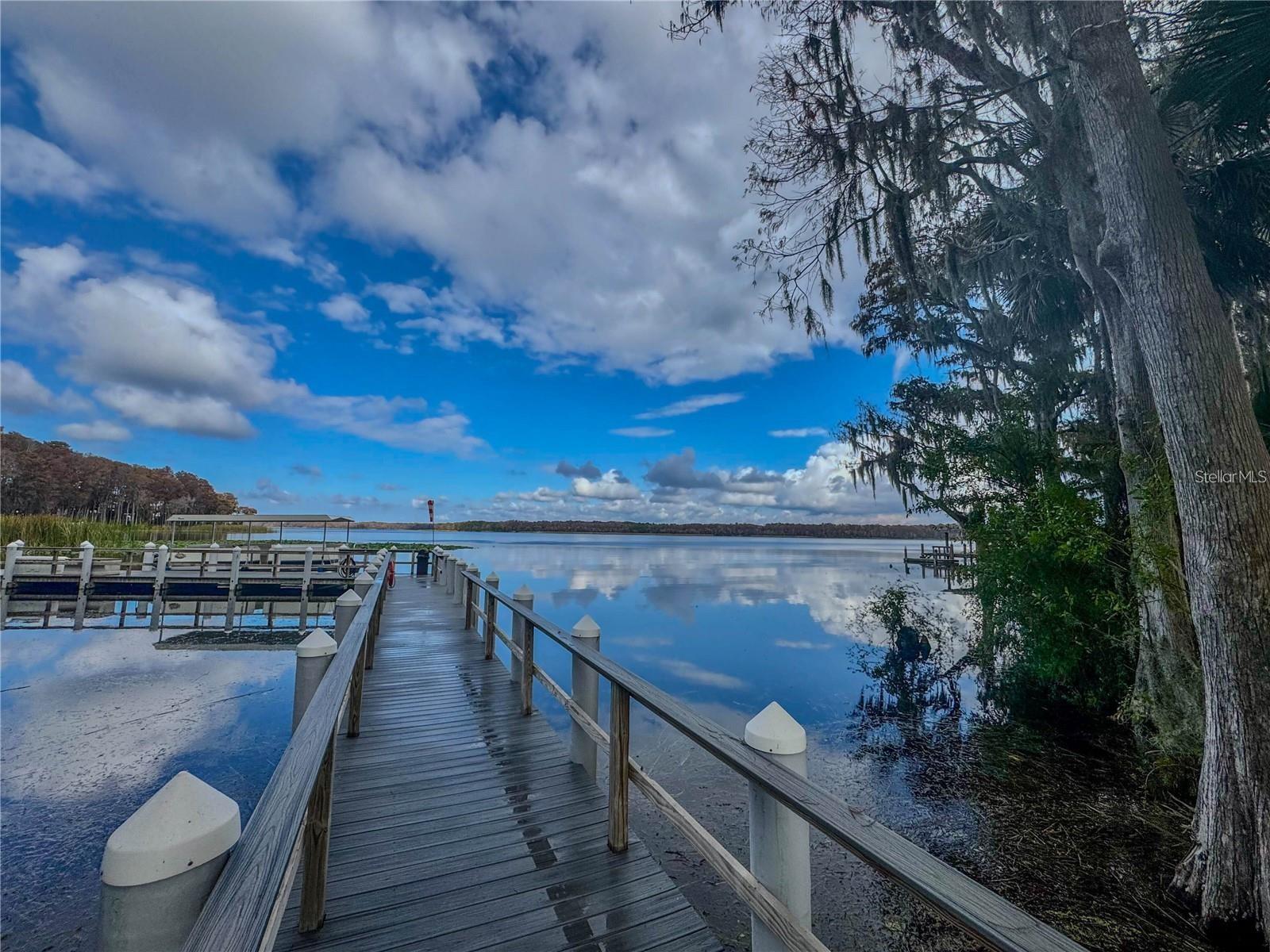 1622 HIGHLAND CLUB LANE, Palm Harbor, FL 34684