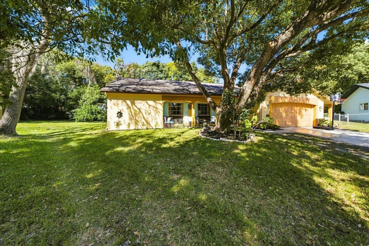 Front Yard
