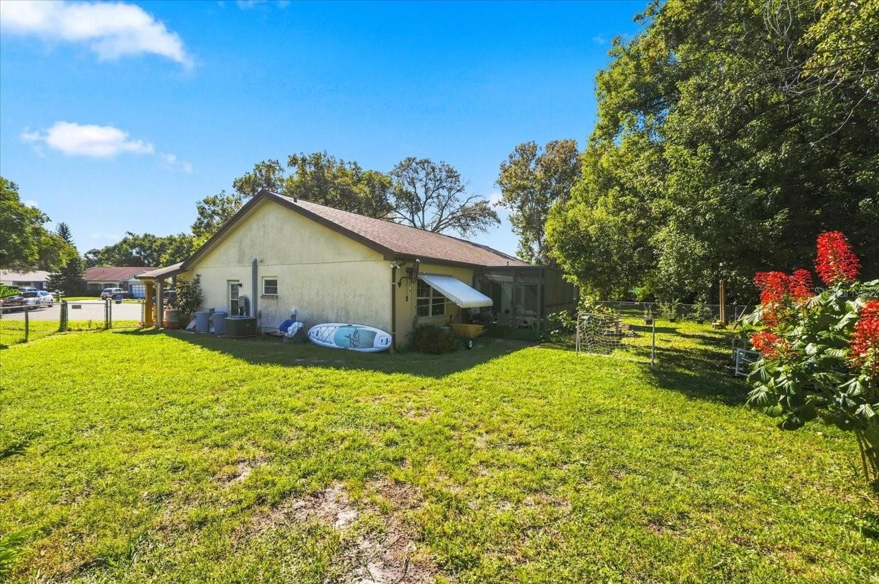 Backyard