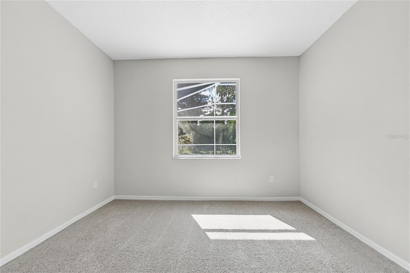 New Port Richey, FL 34655
