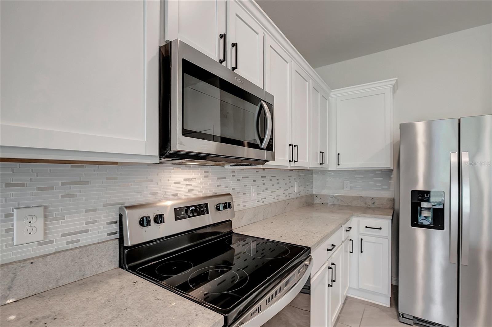 34395 SORREL MINT DRIVE, Wesley Chapel, FL 33543