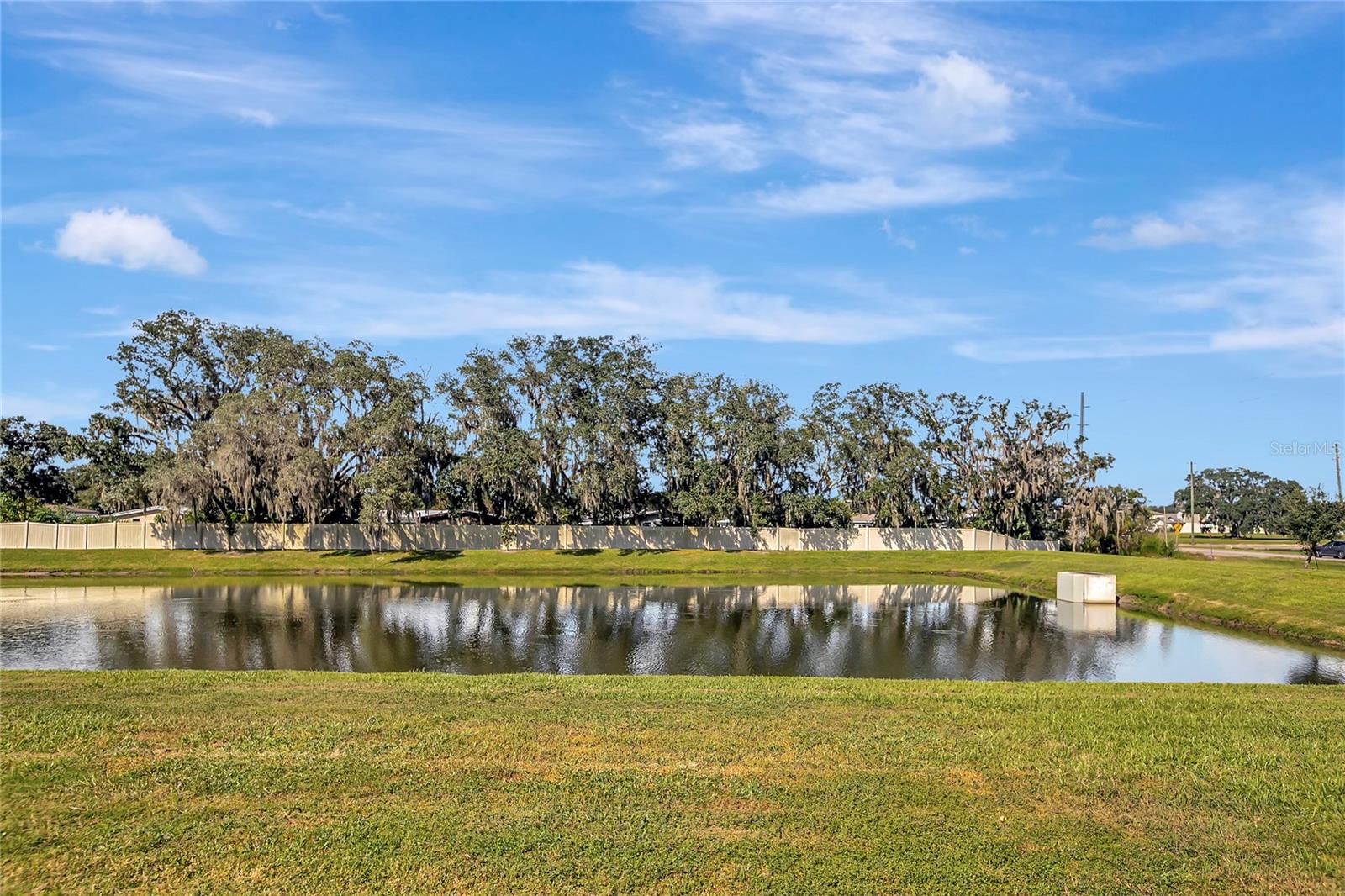 34395 SORREL MINT DRIVE, Wesley Chapel, FL 33543