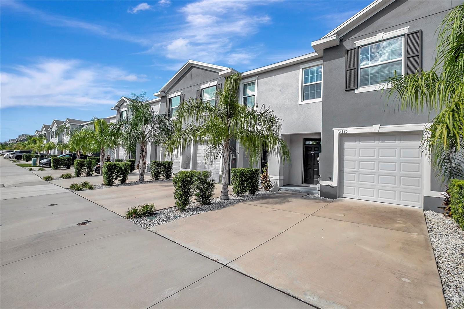 34395 SORREL MINT DRIVE, Wesley Chapel, FL 33543