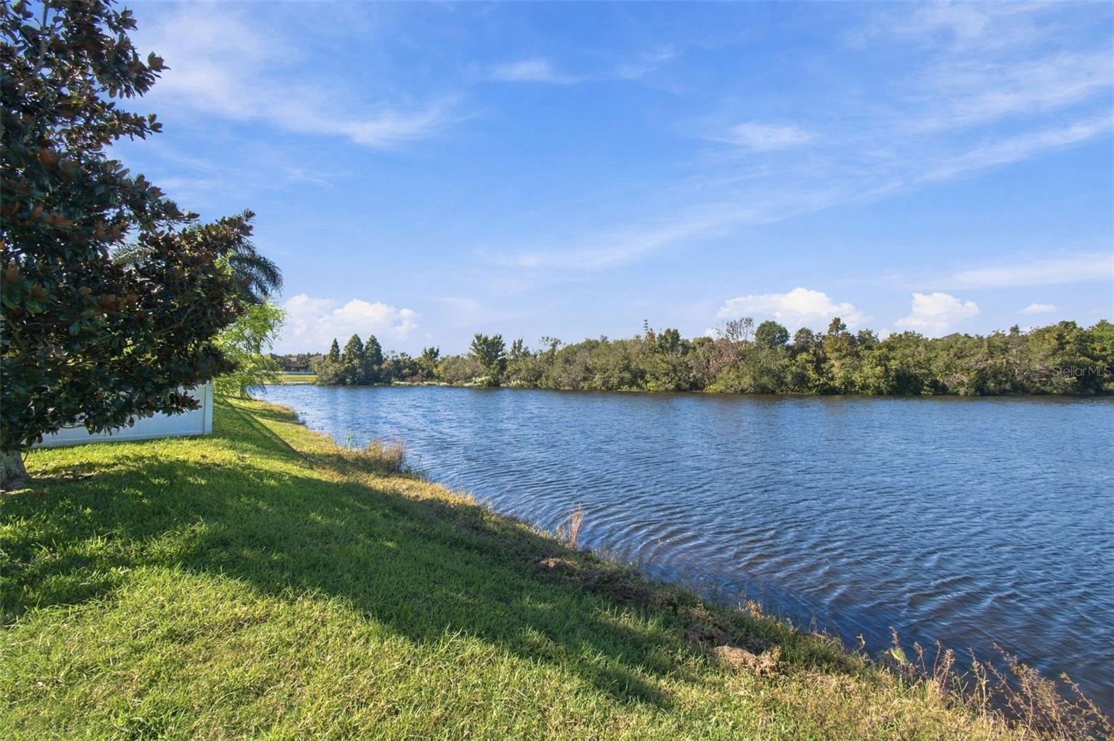 12317 BALLENTRAE FOREST DRIVE, Riverview, FL 33579