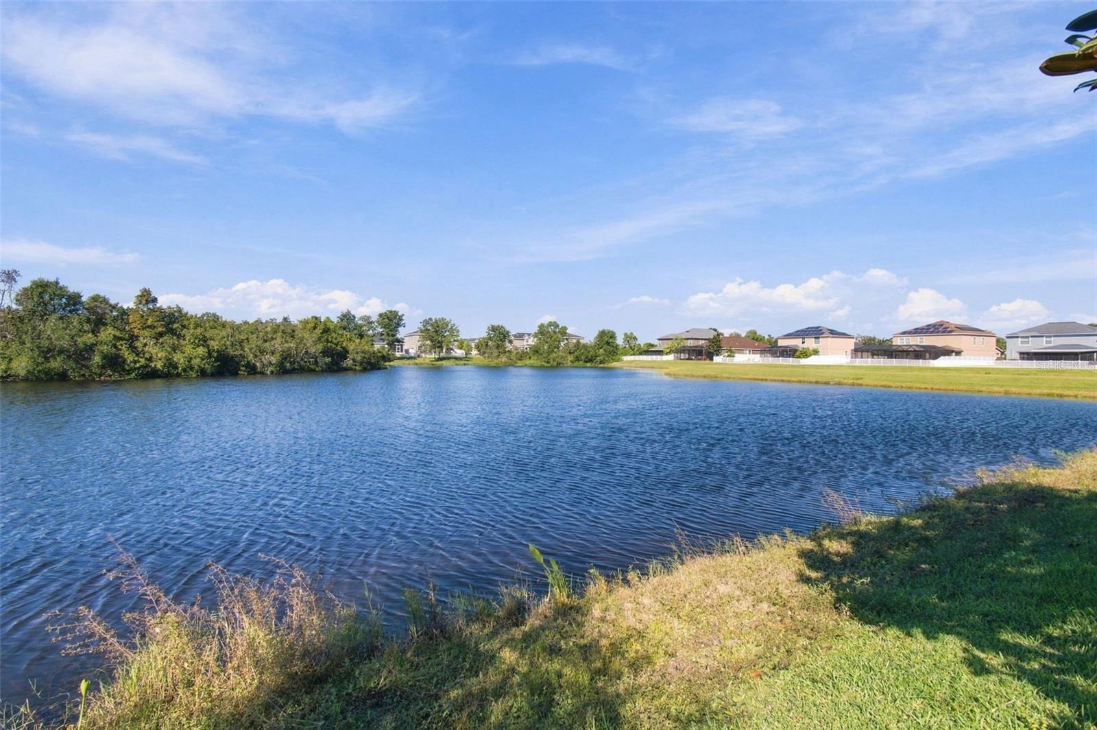 12317 BALLENTRAE FOREST DRIVE, Riverview, FL 33579