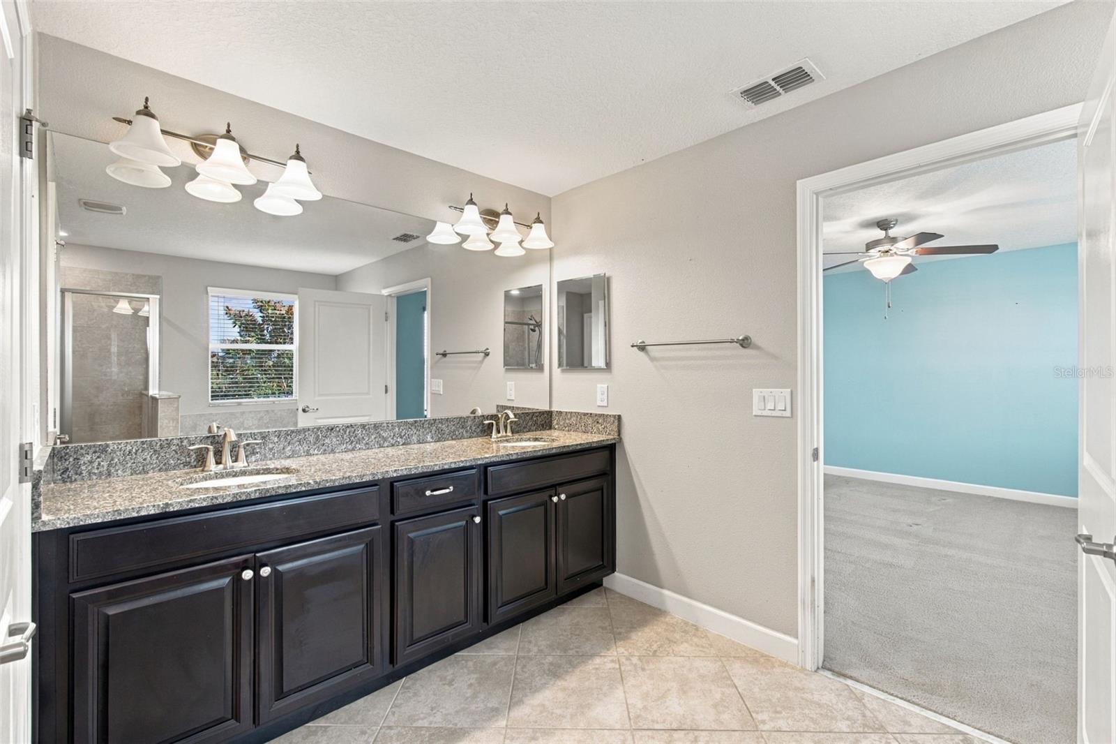 12317 BALLENTRAE FOREST DRIVE, Riverview, FL 33579