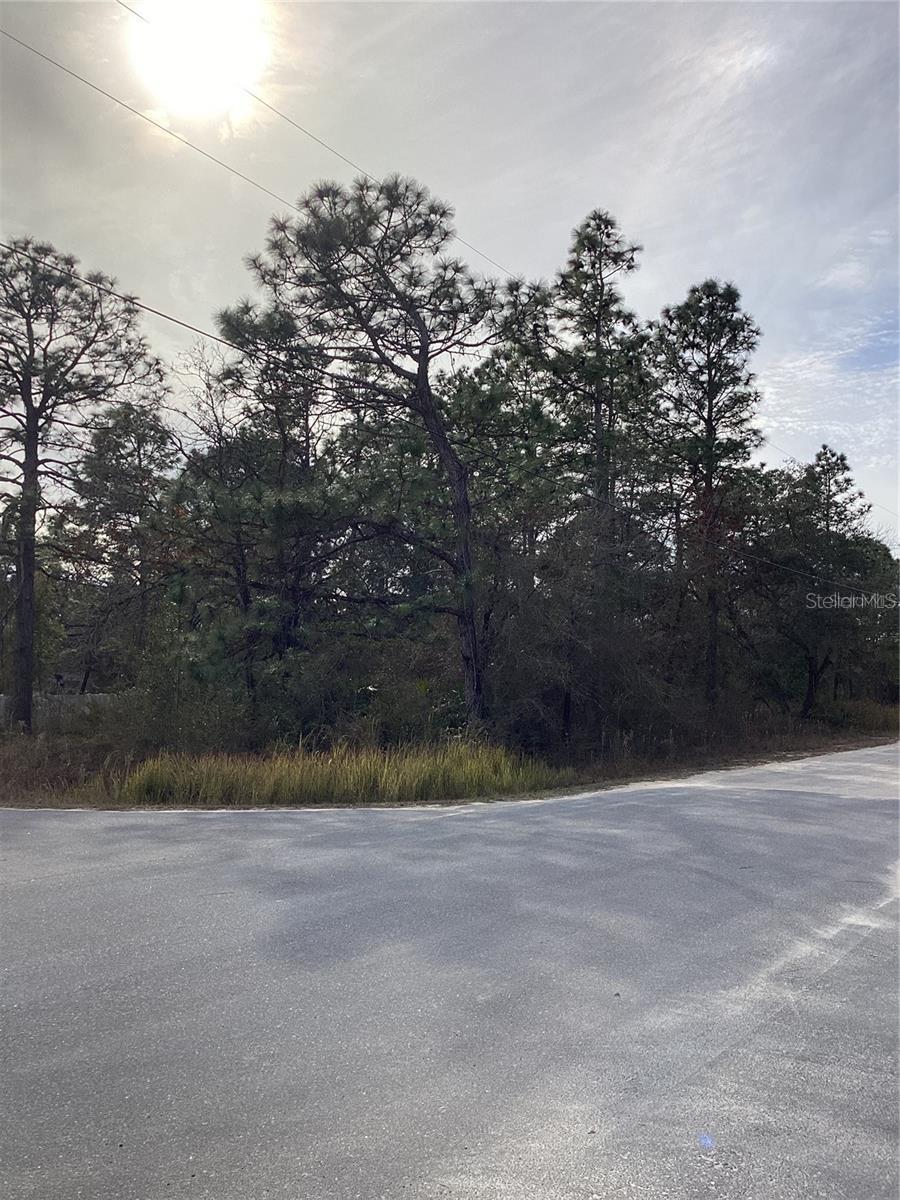 12449 INDIGO BUNTING ROAD, Weeki Wachee, FL 34614 12449 INDIGO BUNTING ROAD, Weeki Wachee, FL 34614