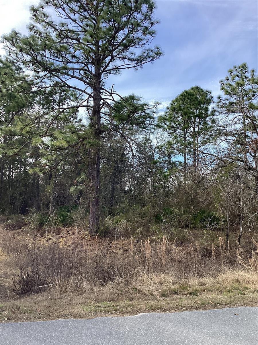 12449 INDIGO BUNTING ROAD, Weeki Wachee, FL 34614 12449 INDIGO BUNTING ROAD, Weeki Wachee, FL 34614