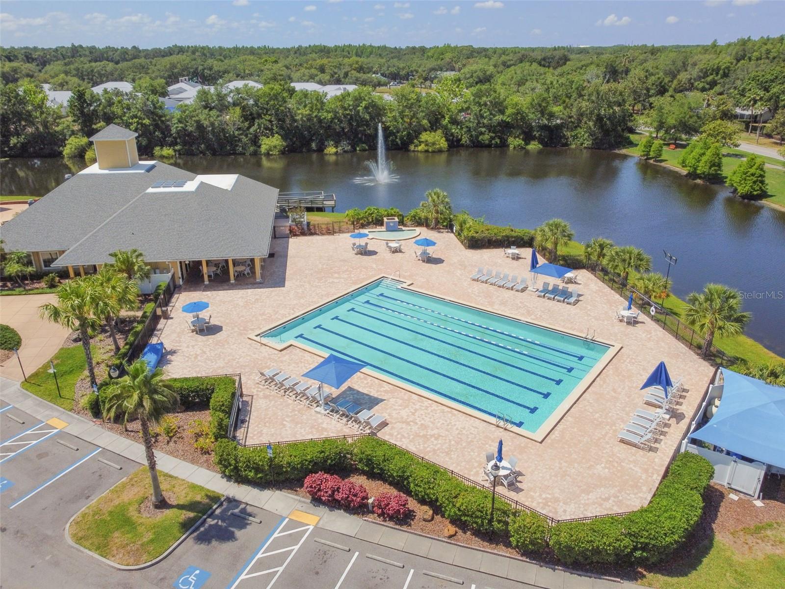 16102 ANCROFT COURT, Tampa, FL 33647