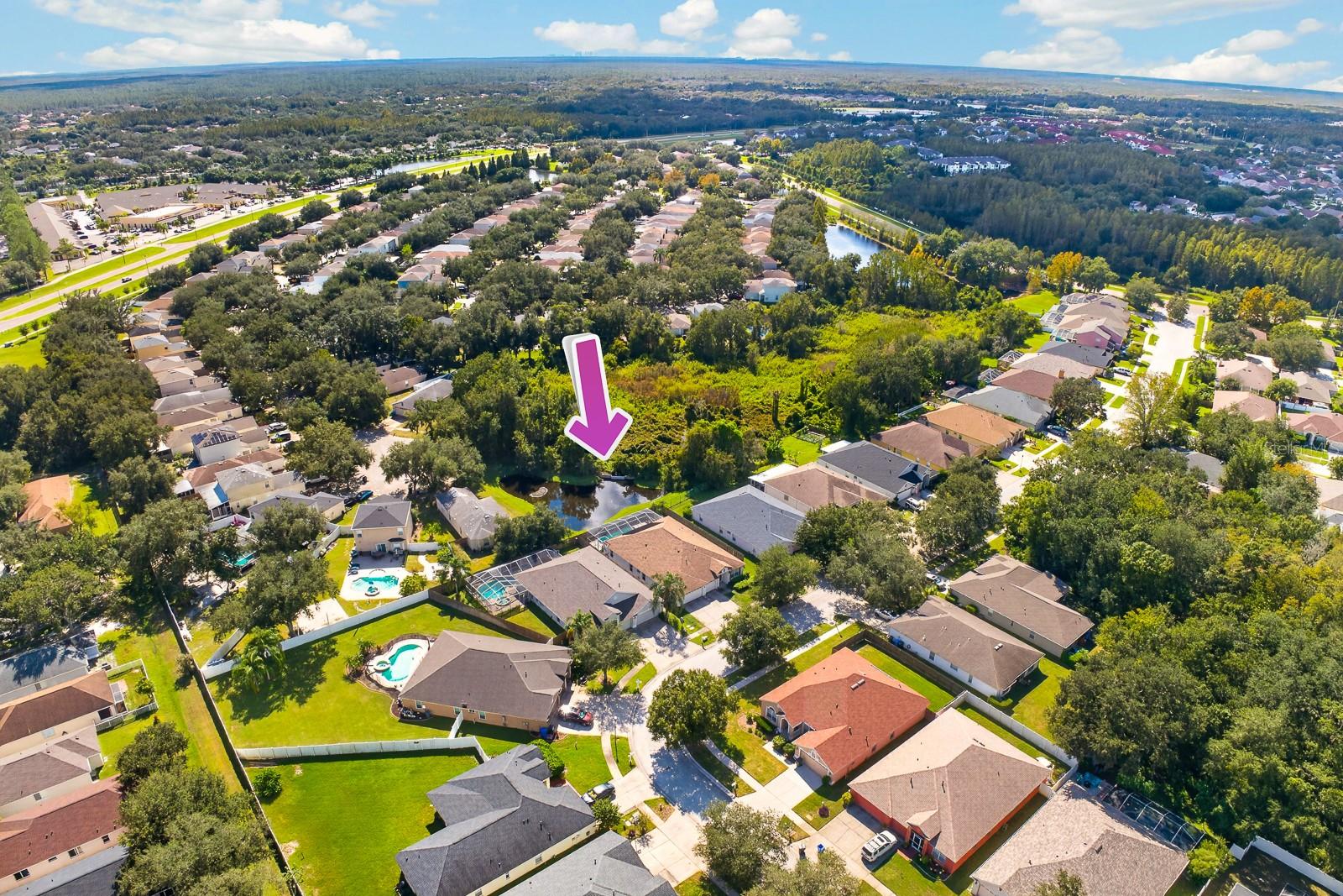 10527 SAN TRAVASO DRIVE, Tampa, FL 33647
