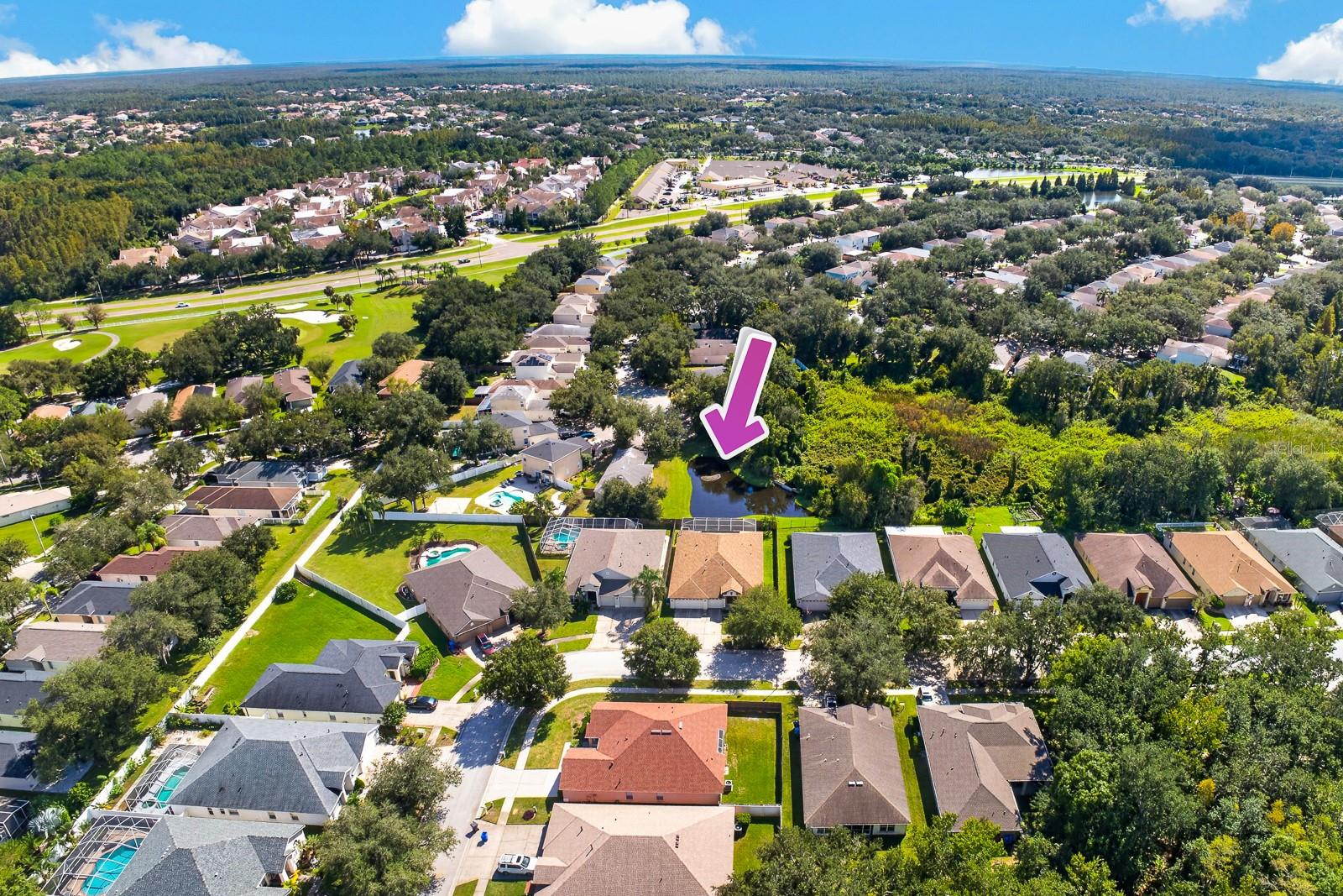 10527 SAN TRAVASO DRIVE, Tampa, FL 33647