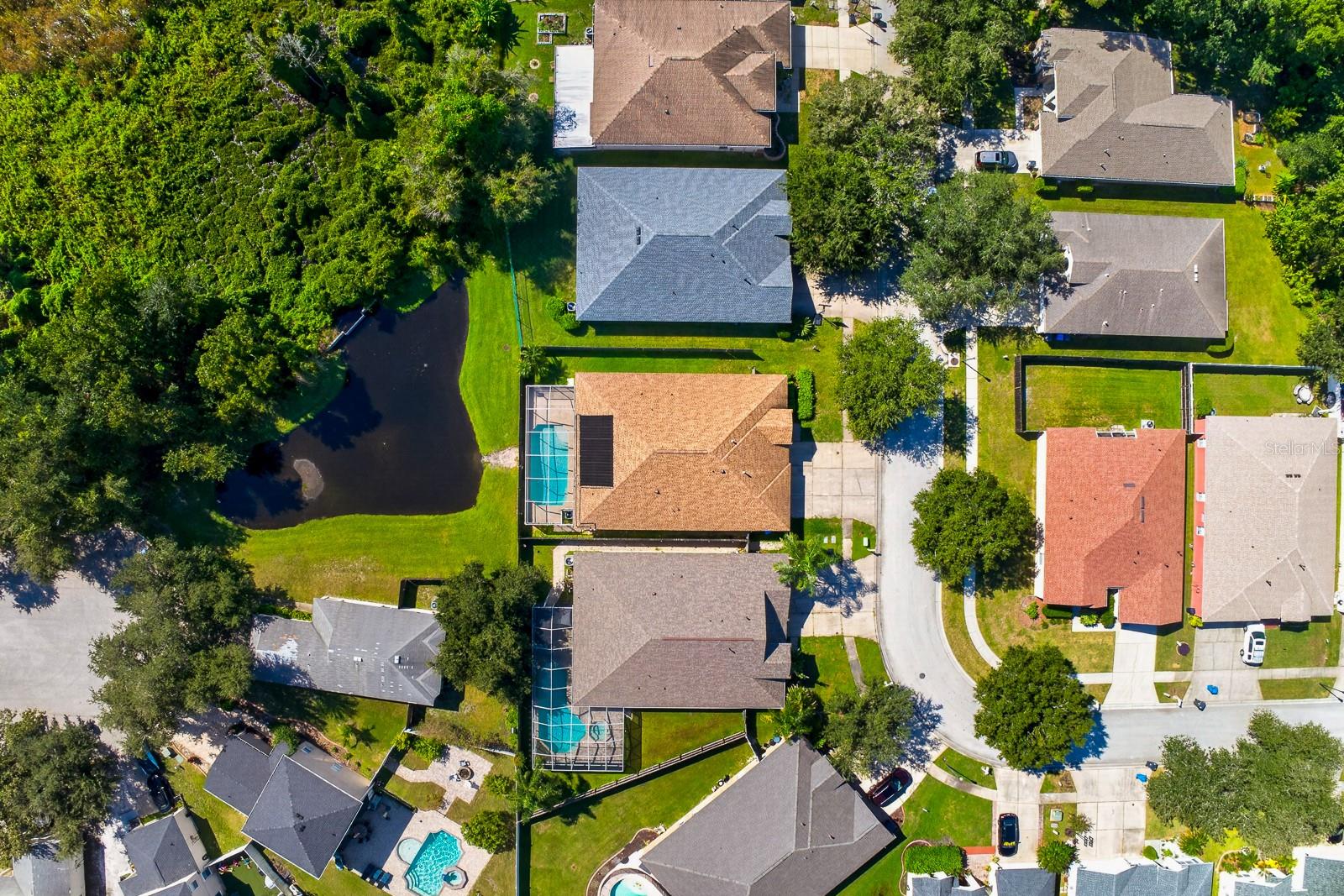 10527 SAN TRAVASO DRIVE, Tampa, FL 33647