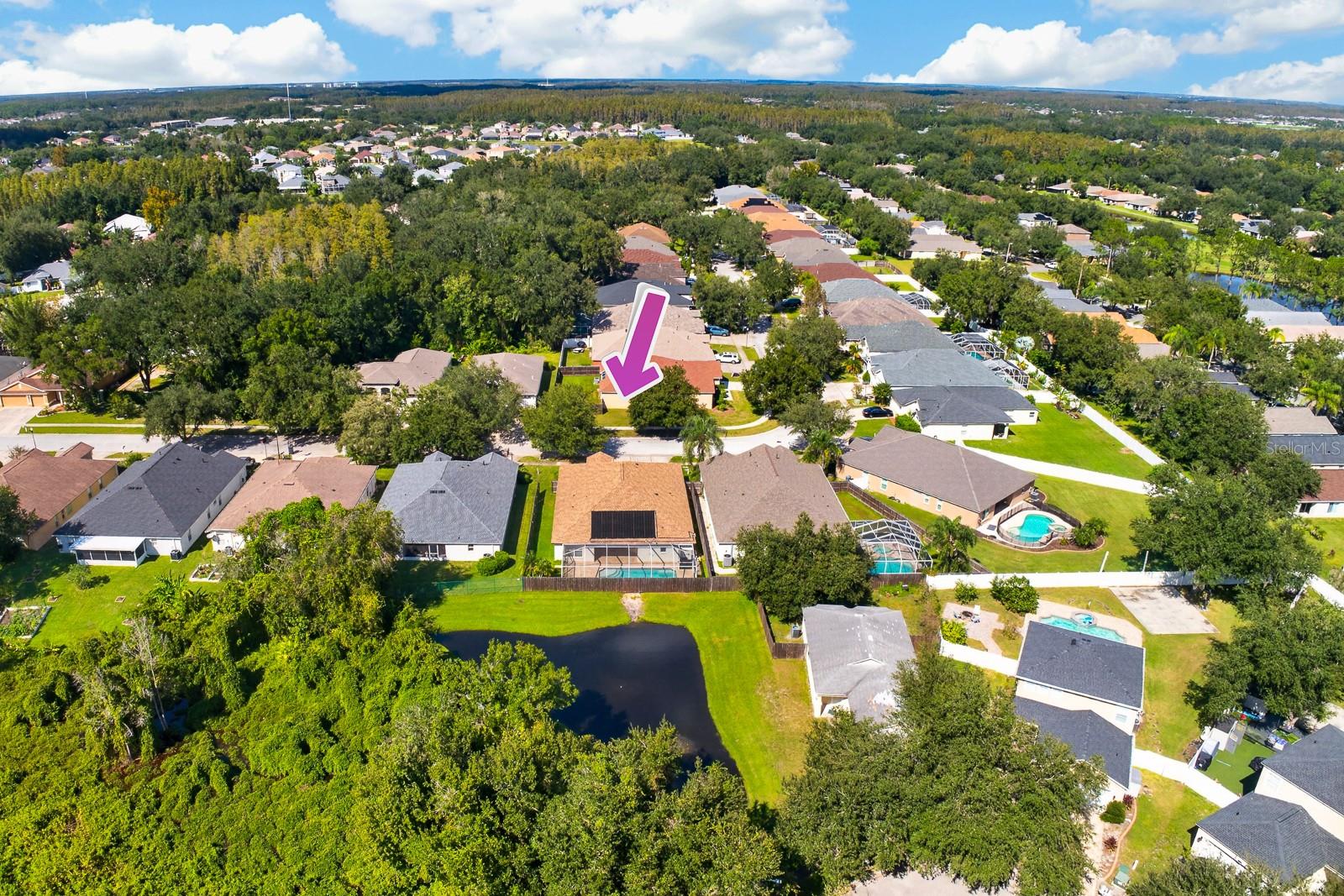 10527 SAN TRAVASO DRIVE, Tampa, FL 33647