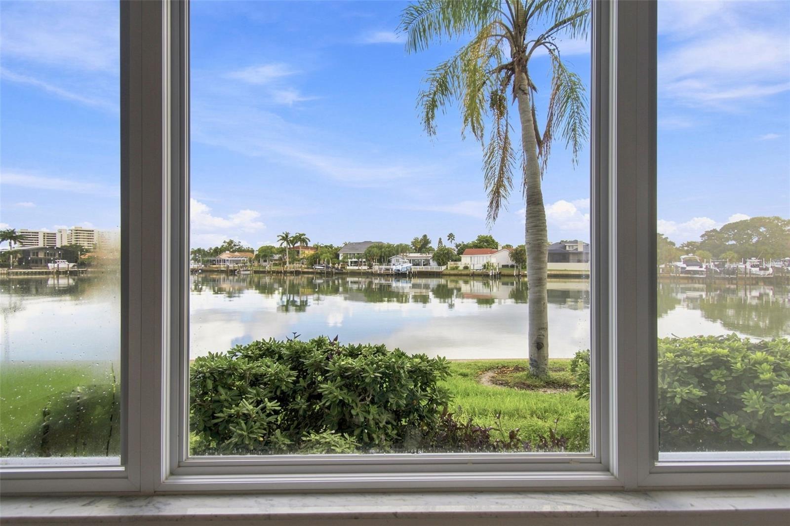 View From the Florida Room