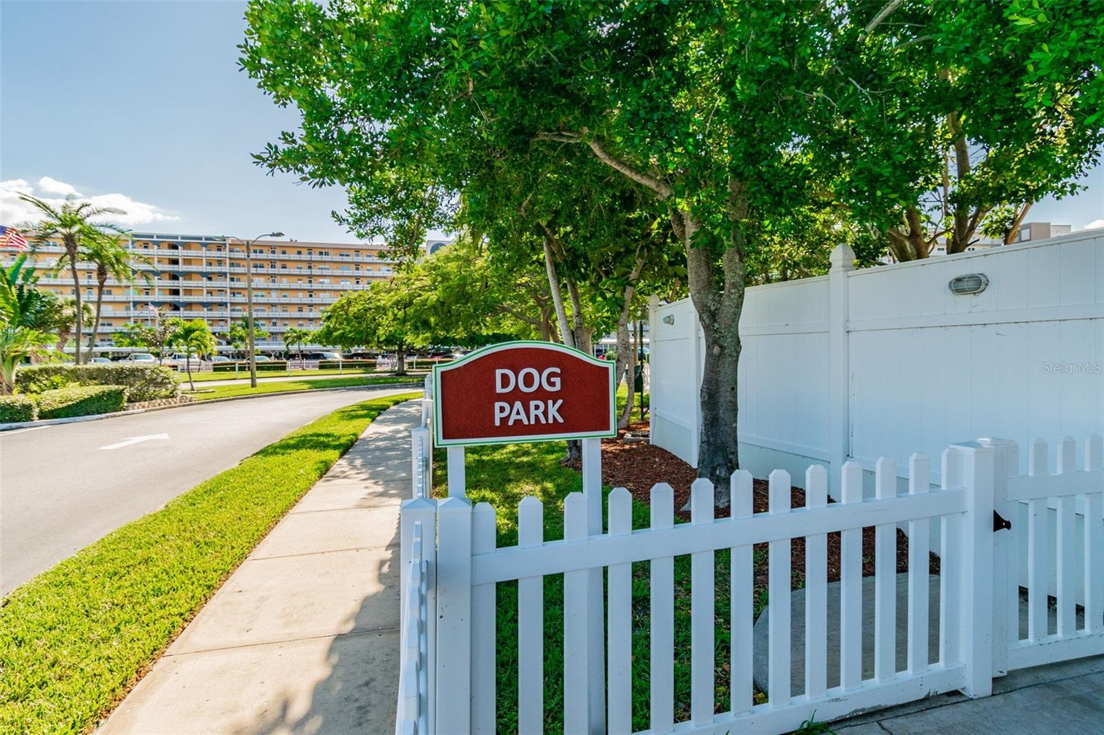 Dog Park