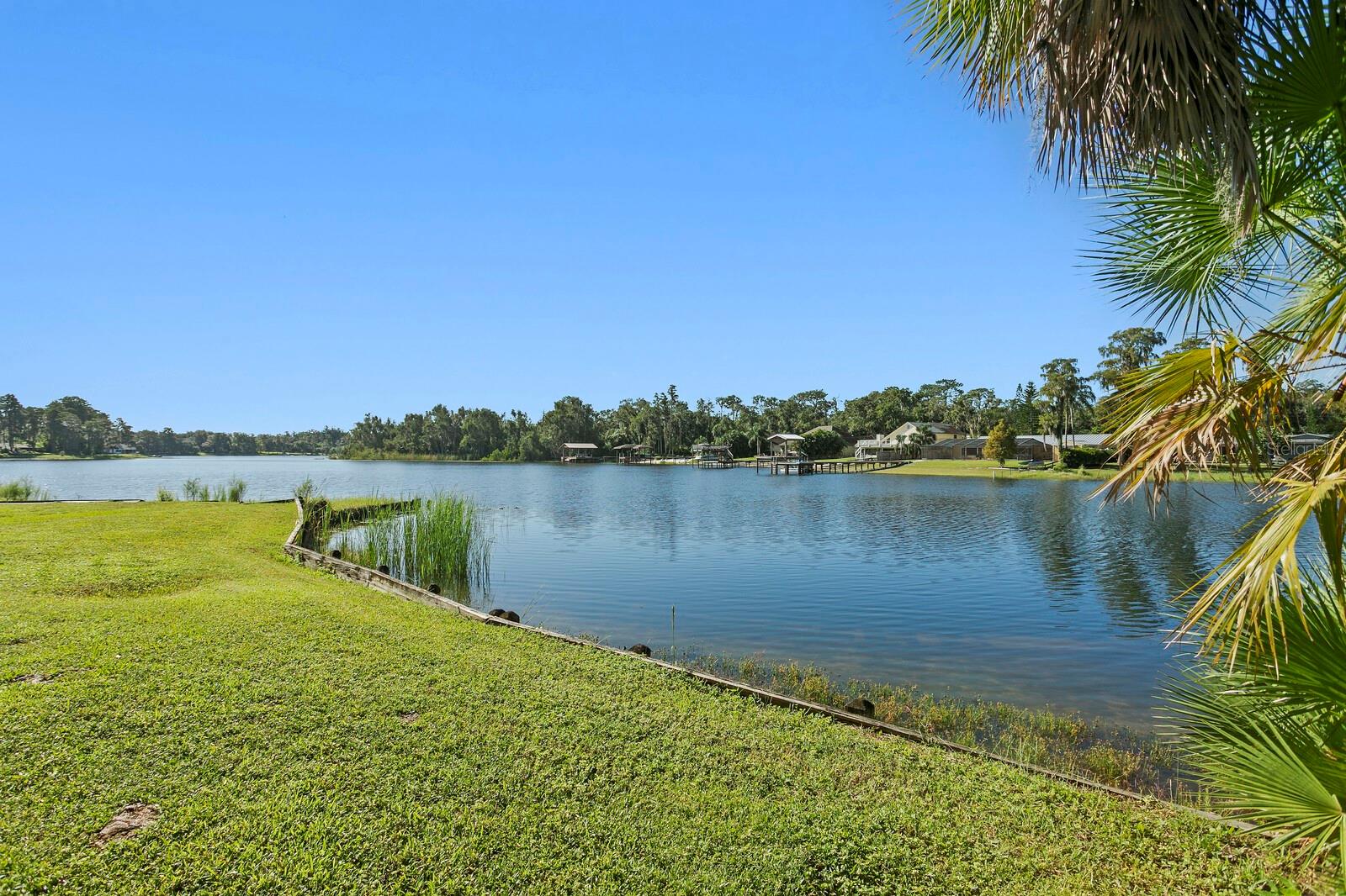 17127 RAINBOW TERRACE, Odessa, FL 33556