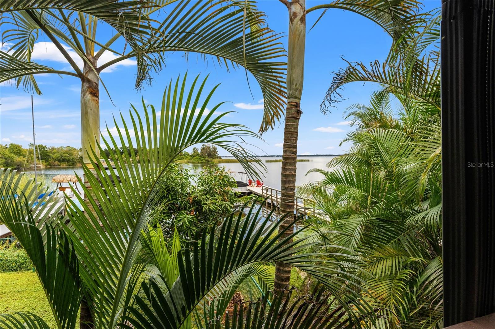 A little tropical paradise! Mature palms frame views of the water and private dock, creating a lush, secluded atmosphere that makes this waterfront property feel like a retreat.