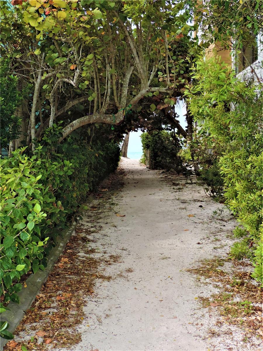 Walkway to Beach