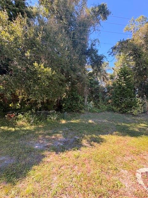Private Wooded Backyard