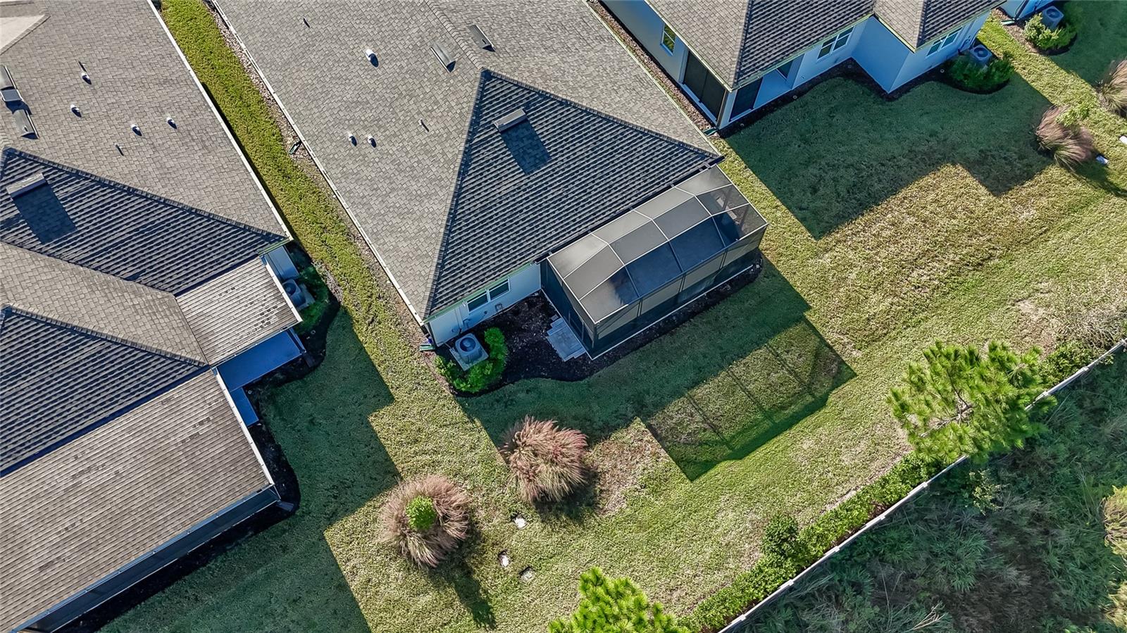 5835 SHOREBIRD BRANCH, Land O Lakes, FL 34638
