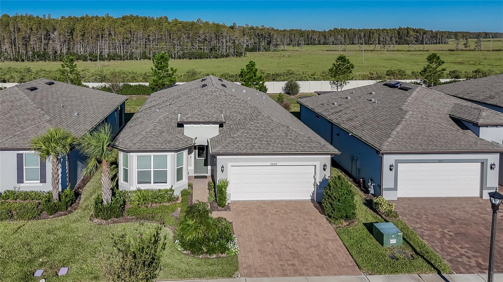 5835 SHOREBIRD BRANCH, Land O Lakes, FL 34638