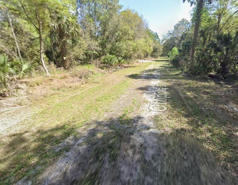 112 CHIPOLA DRIVE, Georgetown, FL 32139