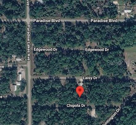 112 CHIPOLA DRIVE, Georgetown, FL 32139