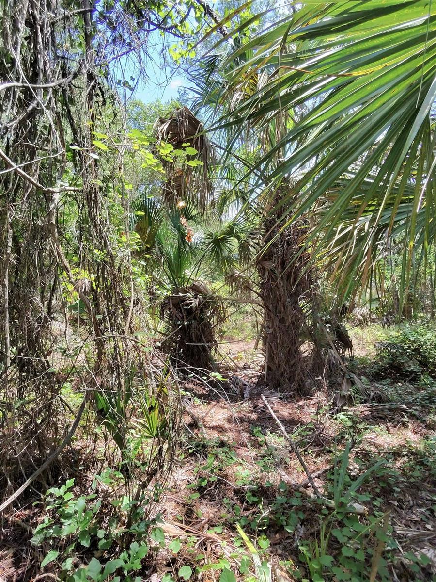 112 CHIPOLA DRIVE, Georgetown, FL 32139