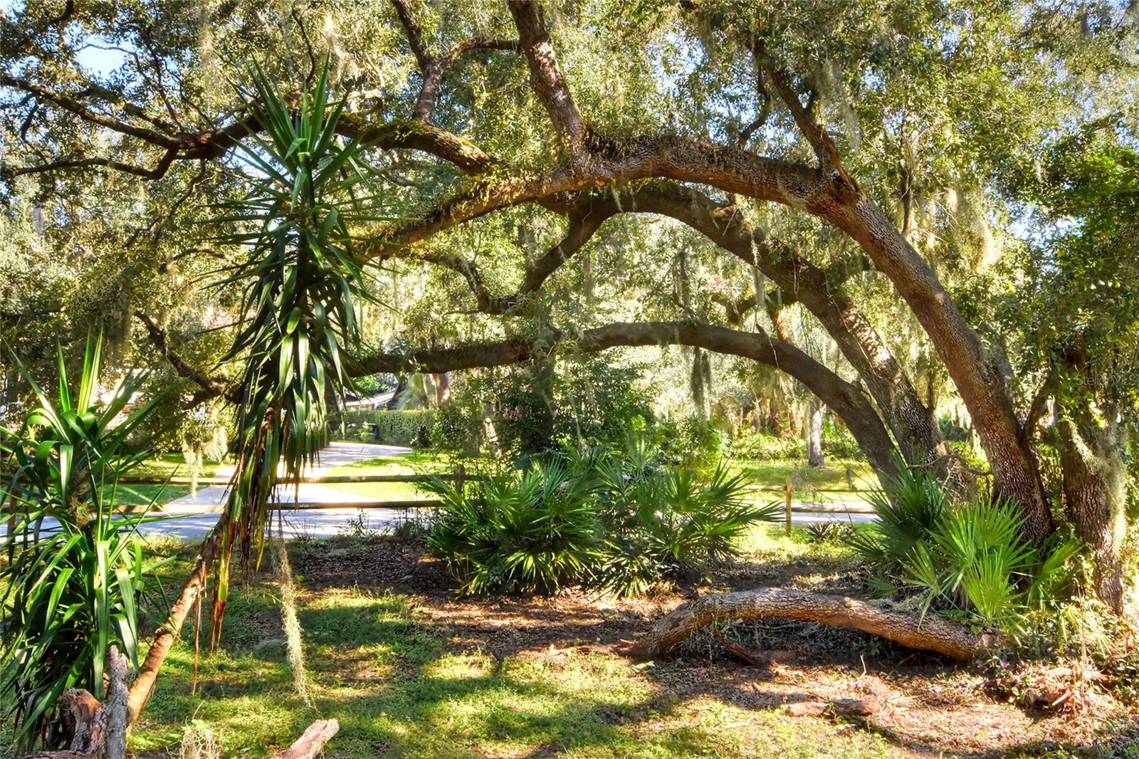 MANGHAM ROAD, Babson Park, FL 33827
