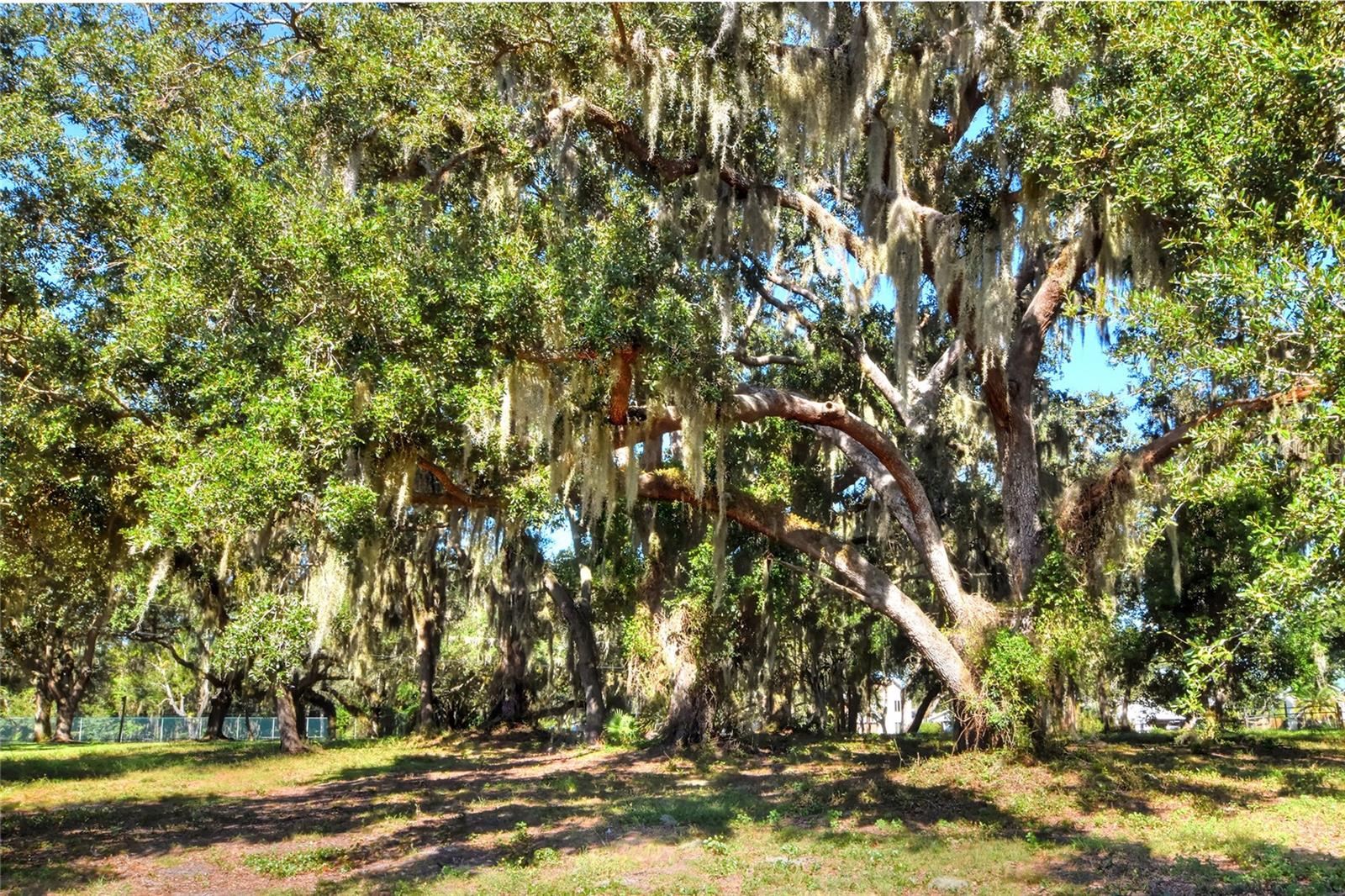MANGHAM ROAD, Babson Park, FL 33827