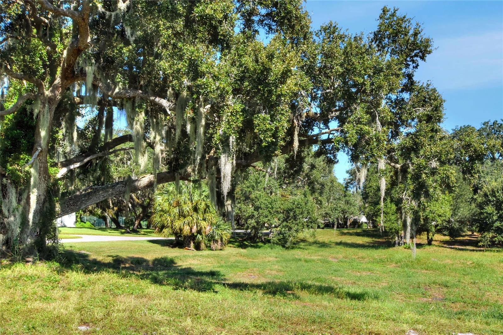 MANGHAM ROAD, Babson Park, FL 33827