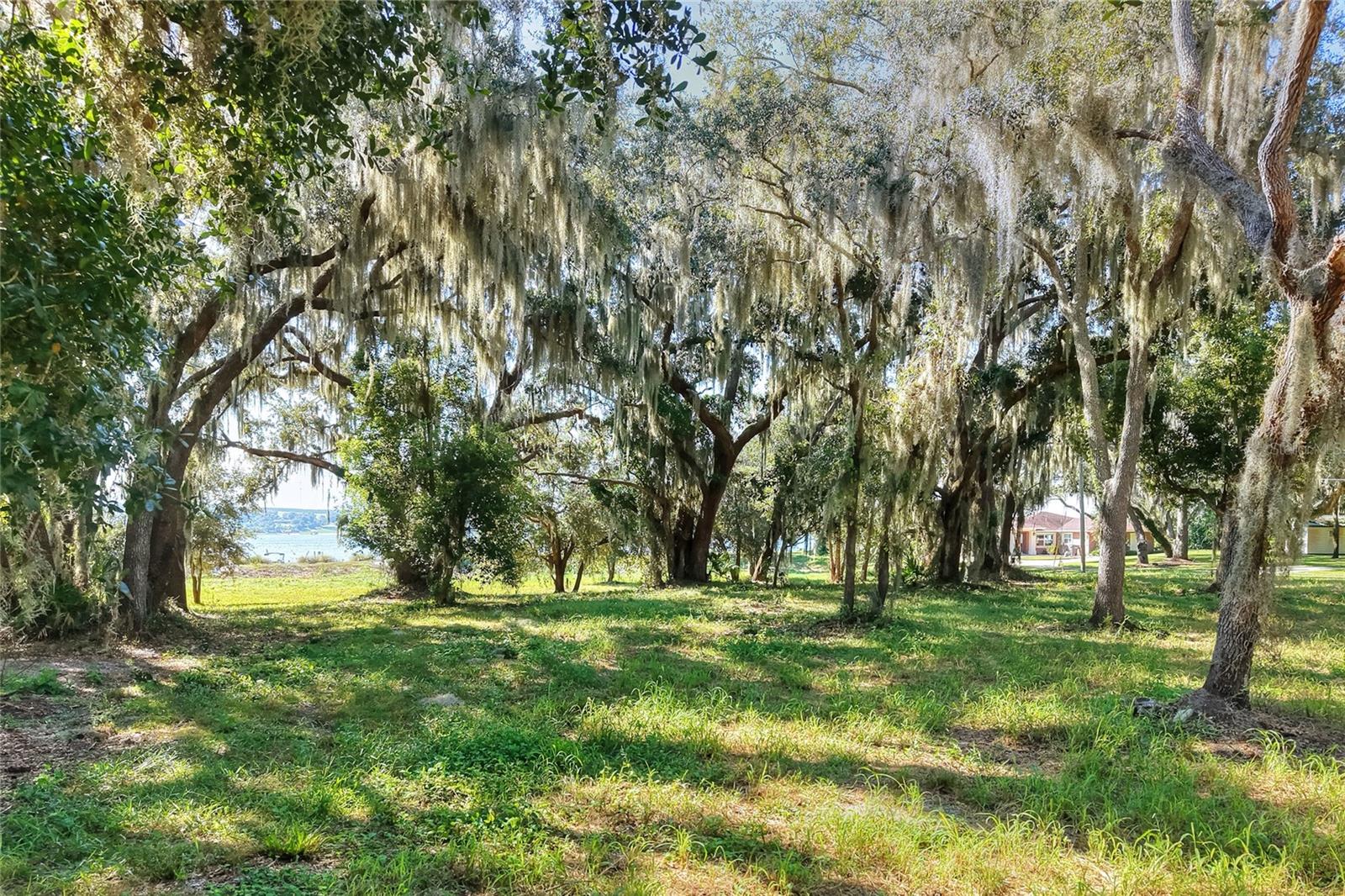 MANGHAM ROAD, Babson Park, FL 33827